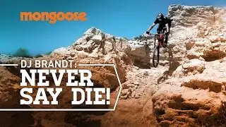 DJ Brandt - Never Say Die!