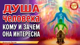 Душа человека. Кому и зачем она интересна. Алексей Орлов