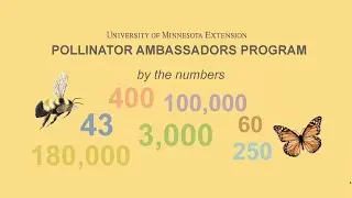 Pollinator Ambassadors Impact