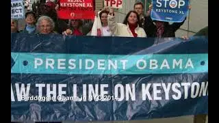 Montage of 350NYC events 2010 - 2014