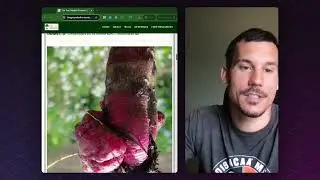 Radish Diseases and Prevention