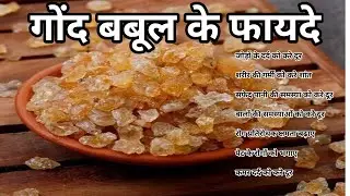बबूल गोंद के फायदे | Babul Gond Ke Fayde | Babul Gond Khane Ke Fayde
