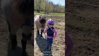 Amazing Horse Tricks and Skills | Horseback Riding Short Video