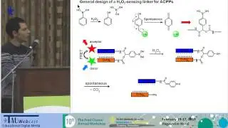 In Vivo Targeting of Hydrogen Peroxide by Activatable Cellpenetrating Peptides