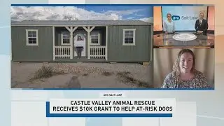 ARC: Helping animals in rural Utah at Castle Valley Animal Rescue