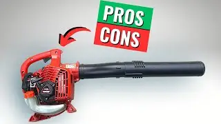 The BEST (and WORST) Features of the Echo Handheld Leaf Blower
