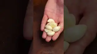 Этот рецепт пасты я узнала от итальянского шеф-повара!
