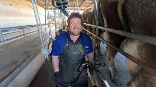 First Afternoon Milking In Over 10 Years....Back To Twice A Day!
