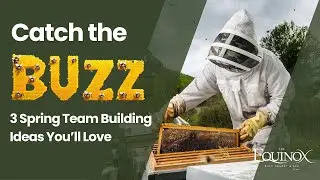 3 Buzz-Worthy Team Building Ideas to Re-Energize Your Group This Spring