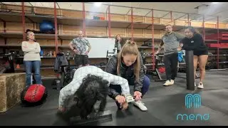 Mobility or Stability? The Shoulder Truth for CrossFit Athletes