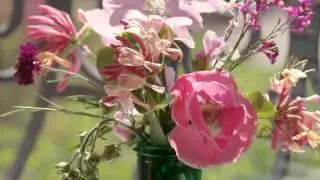 Ах лето