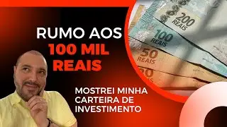 Rumo aos 100 MIL - Mudança de Mentalidade e minha Carteira de Investimento