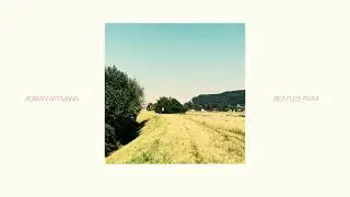 ADRIAN ARTMANN // BEATLES, PAPA (Lyric Video)