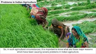 Ch 3 - Resources and Development | Problems in Indian Agriculture