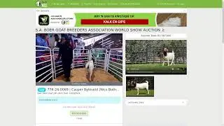 S.A. BOER GOAT BREEDERS ASSOCIATION WORLD SHOW AUCTION