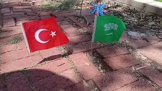 Turkish and Saudi flags waving