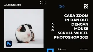 Cara Zoom In dan Out Dengan Mouse Scroll Wheel Photoshop 2021