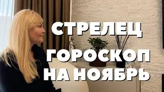 СТРЕЛЕЦ ГОРОСКОП НА НОЯБРЬ 2025 ГОДА ОТ VENUSLIFE 