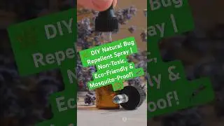 🌿 DIY Natural Bug Repellent Spray | Non-Toxic, Eco-Friendly & Mosquito-Proof! 🦟🚫