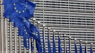 The European Idea