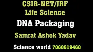 Packaging of DNA into nucleosomes ll Chromatids llSamrat Ashok yadav