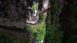Lush Green Forest and River😍 #music #forest #river