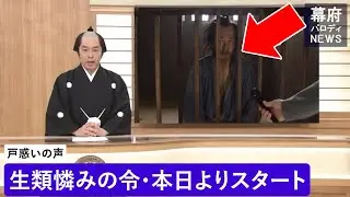 生類憐みの令スタート！【パロディNEWS】 徳川綱吉公 命を尊ぶ法令の真意とは？ 戸惑う江戸の人々【AI再現】