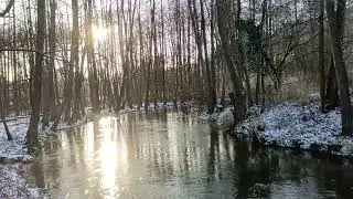 #ПрироданаЮтуб#NatureonYouTube#NaturalezaenYouTube#NaturesurYouTube#NaturezanoYouTube#AlamdiYouTube