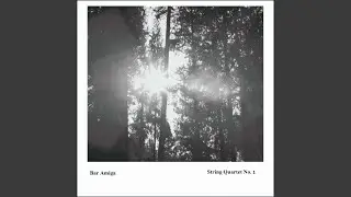 String Quartet No.1