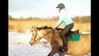 Kapriol fire horses jumping