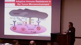 Harnessing the Full Potential of Immunotherapy...:  Raymond Wong, PhD