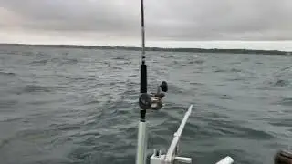 Lake Ontario, king salmon fishing. Olcott, New York. September 9, 2023.
