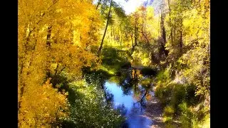 Bathe Yourself in Color   Enchanted Westfork