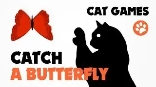 CAT GAMES ★ CATCH A BUTTERFLY ON THE SCREEN