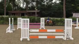 Moelgwyn Meinwen - 1st in 90cm - Netley Hall Estate - July 2016