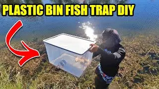 Plastic Bin Fish Trap DIY | Monster Mike