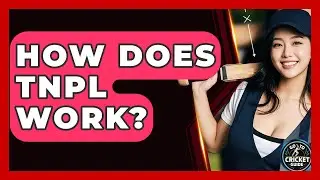 How Does TNPL Work? - Go-To Cricket Guide