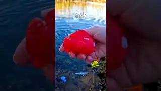 Learn Sea Animal Names at the Pond for Babies Kids: Whale Shark Penguin Fish Lobster Hammerhead