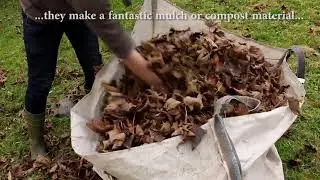 Collecting and Using Fall Leaves - 60 Second Gardening