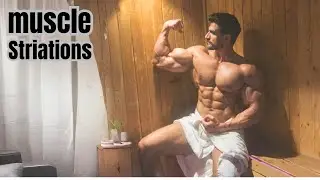 Unlocking the Secrets of Muscle Striations: A Bodybuilder's Guide