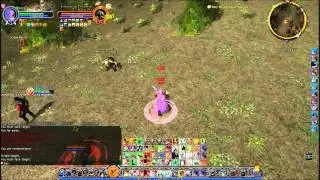Level 75 Champion vs Level 85 Creeps - Lotro PvP