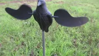 Michigan Crow Hunt with Doug and Glen