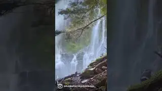 Proxy Falls | Willamette National Forest, Oregon