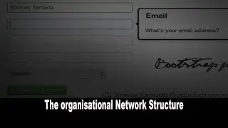 The organisational Network Structure