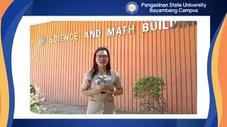 Group 4 - BSE Science 3-1 | FS 1 | Activity 3 - Distinctness of a Learner in a Diverse Classroom