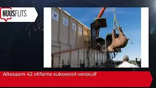 Altesaam 42 olifante suksesvol verskuif