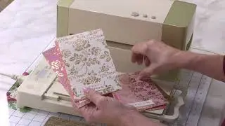 Anna Griffin Empress Gild surfaces to foil!