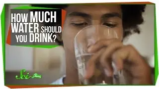 World&rsquo;s Most Asked Questions: How Much Water Should I Drink a Day?