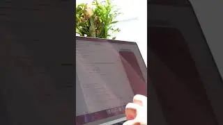 Created Apple Watch breathing animation in SwiftUI