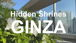 Hidden shrine hunting in Ginza | Tokyo, Japan | 2021 [LIVE]